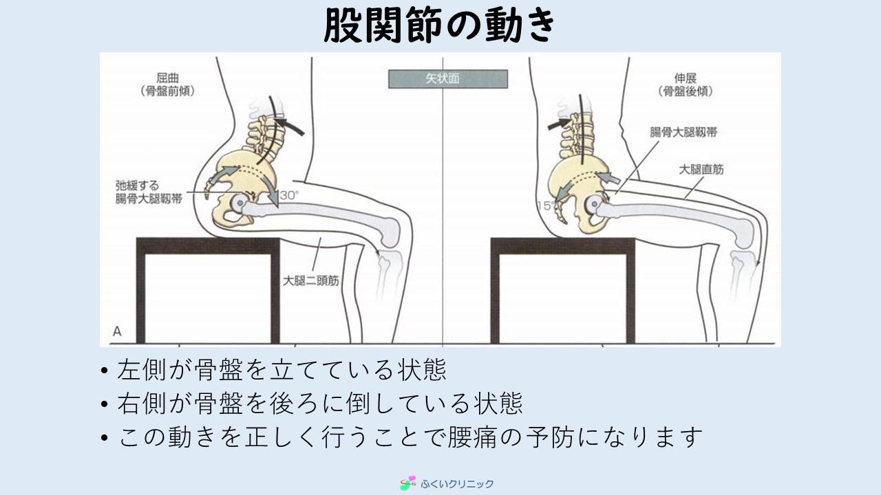 [新しいコレクション] 腸骨 右側 痛み 572956腸骨 右側 痛み Mbaheblogjpirbm